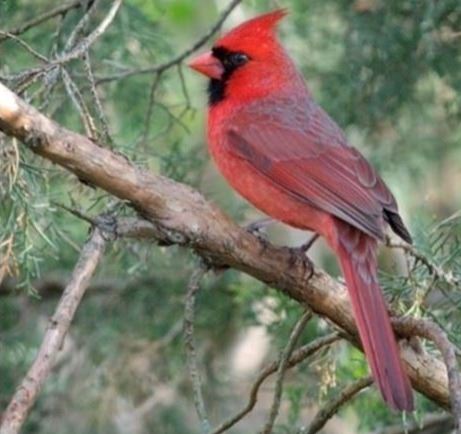 Screenshot 2024-10-16 123919